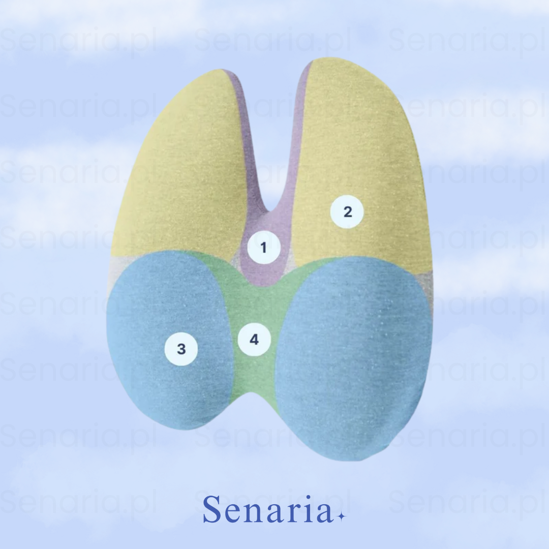 OrtoLumb - Bederní polštář